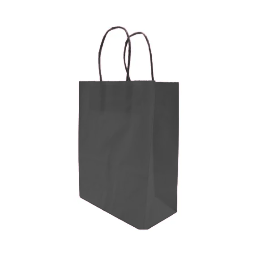 Bolsas de Papel Kraft 21x16x8 cm con Manilla pack 12 unidades