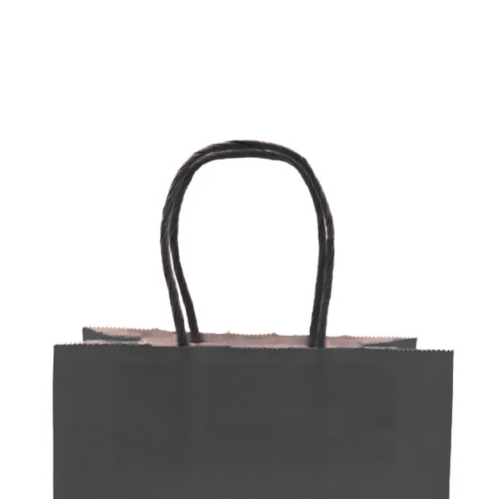 Bolsas de Papel Kraft 21x16x8 cm con Manilla pack 12 unidades