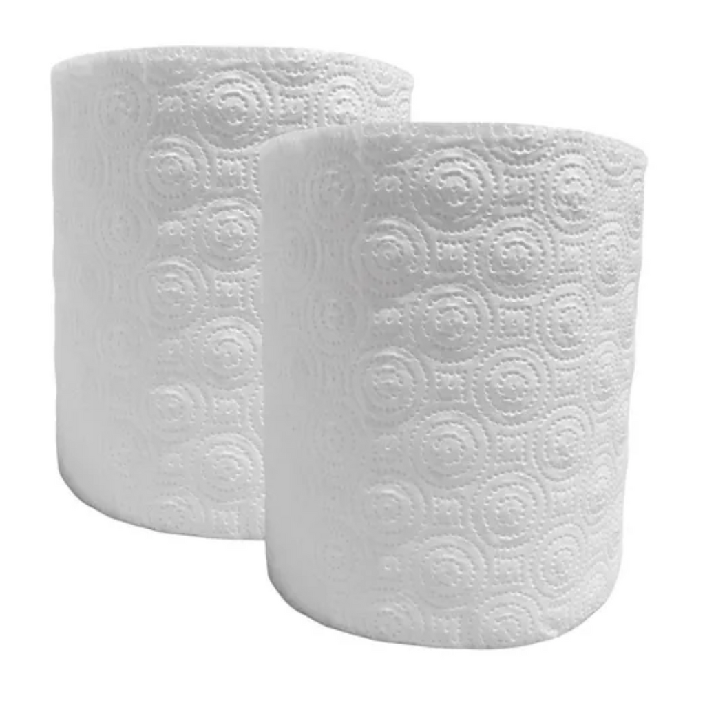 Toalla de papel doble hoja prepicada 120m Pack 2