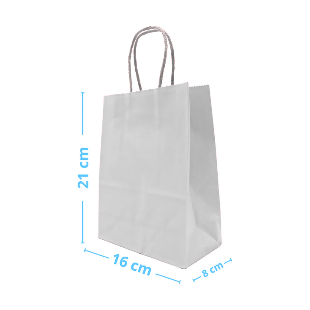 Pack 12 Bolsas de Papel Kraft con Manilla 21x16x8 cm