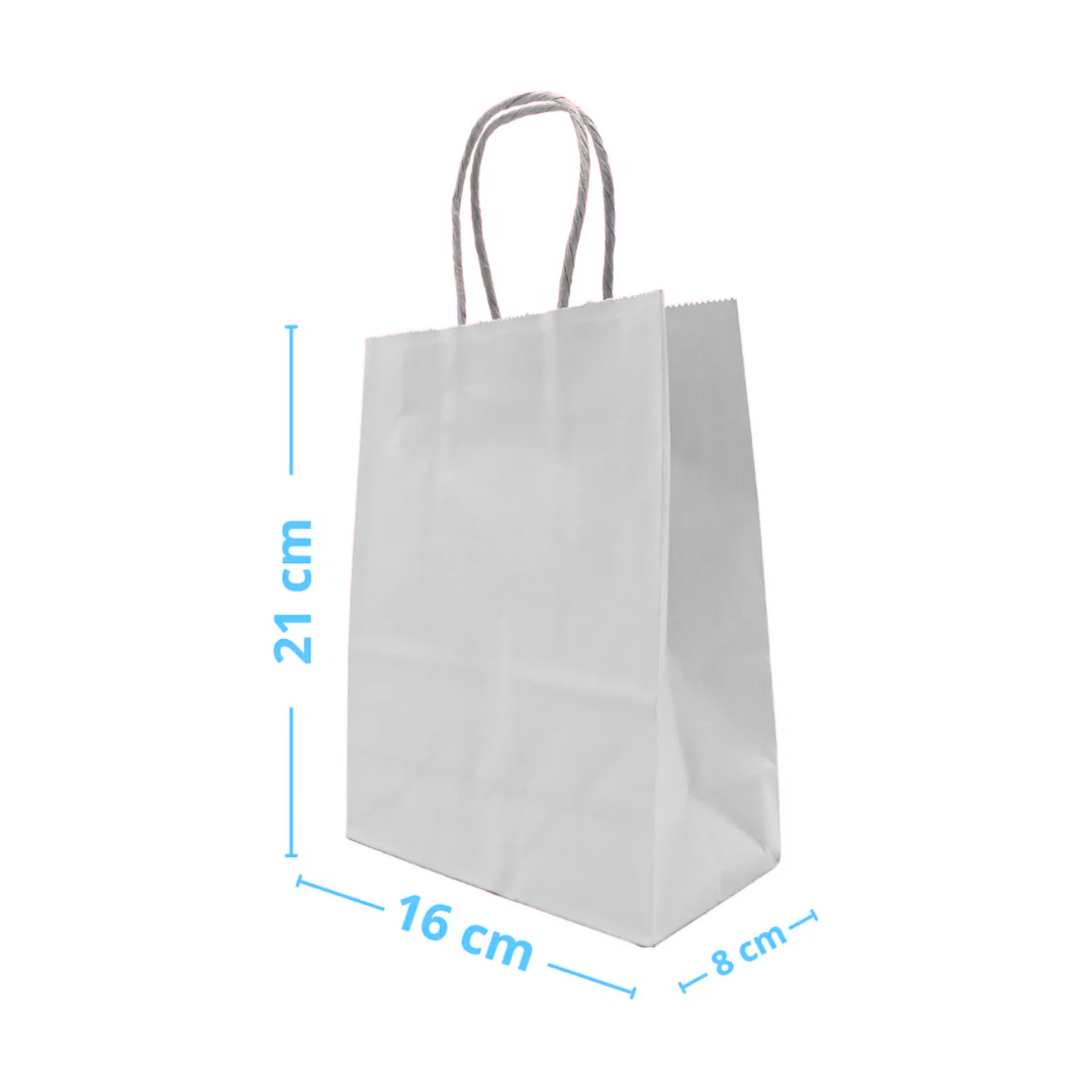 Pack 12 Bolsas de Papel Kraft con Manilla 21x16x8 cm