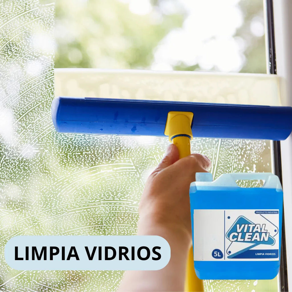 Limpia Vidrios industrial 5 litros