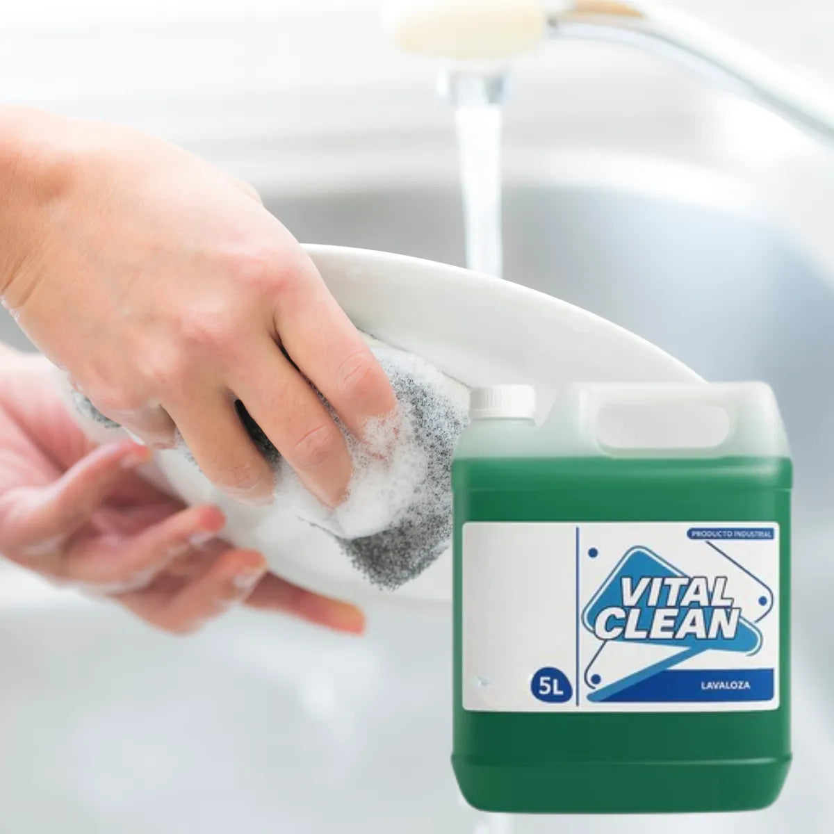 Lavaloza Industrial 5 Litros Cocina Limpieza